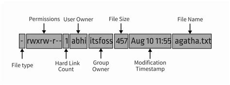 linux permissions 777|Linux File Permissions and Ownership Explained with .